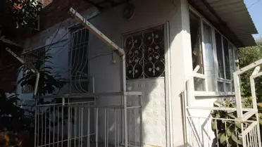 Kepez'de hasta kedilere el konuldu