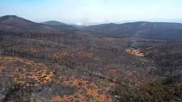 Bursa'da Yangın 4. Günü Geride Bıraktı