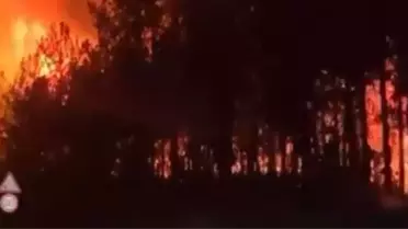 Bursa'da Orman Yangınına Müdahale Zorlaşdı