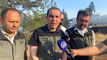 Yapraklı Orman Yangını Kontrol Altına Alındı