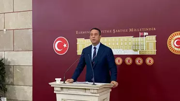 CHP'li Başarır: Orman Yangınları ile Mücadele Yok, Türkiye'yi Ormansız Bırakıyorlar