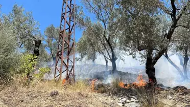 Edremit'te Zeytinlik Alanda Yangın Kontrol Altına Alındı