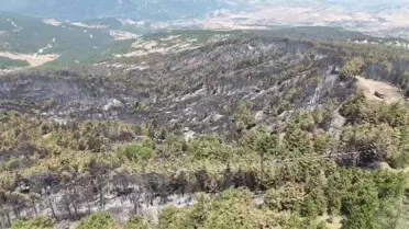 Karabük'te Orman Yangınları Kontrol Altında
