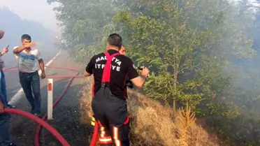 Malatya'daki Orman Yangınları Kontrol Altına Alındı