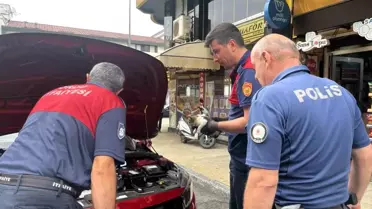 Park Halindeki Otomobilin Motorundan Yavru Kedi Kurtarıldı