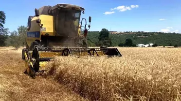 Samsun'da Bitkisel Üretim Planı