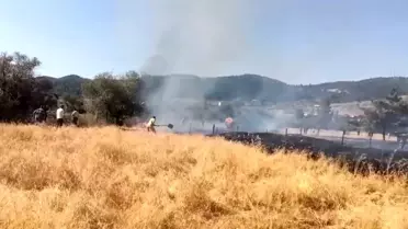 Tavşanlı'da Yangın Kontrol Altına Alındı