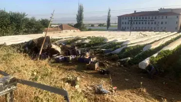 Tır Yol Kenarındaki Üzüm Bağına Devrildi
