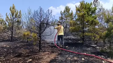 Amasya'da Orman Yangını: 3 Hektar Zarar Görüldü