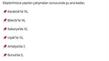 Yangınlar Sonrası Hasar Tespiti