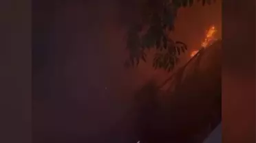 Bursa'da Havai Fişek Yangını: 5 Gözaltı
