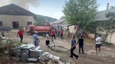 Eğirdir'de Sincap Yangına Sebep Oldu