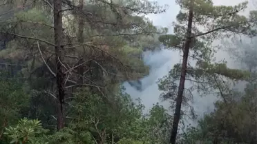 Osmaniye'de Orman Yangını Kontrol Altına Alındı