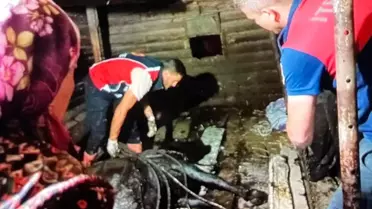 Büyükbaş Hayvan Çukura Düştü, Kurtarıldı