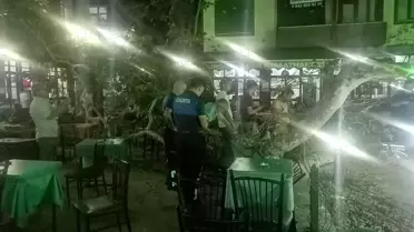 Yalvaç'ta Tarihi Çınar Ağacının Dalı Kalabalığın Üzerine Düştü