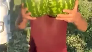 Bilecik'te İkiz Kavun ve Karpuz Şaşırttı