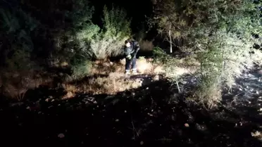 Osmancık'ta Yangın Kontrol Altına Alındı
