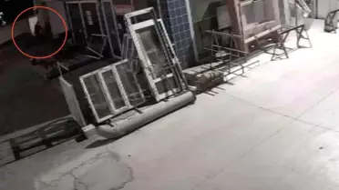 Kastamonu'da Köpeğe İşkence
