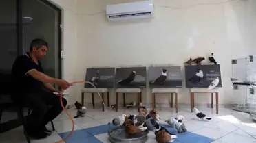 Diyarbakır'da Güvercin Oteli
