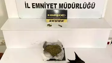 Balıkesir'de 485 Gram Esrar Ele Geçirildi