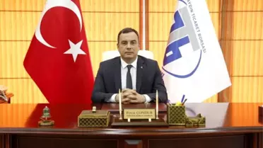 Zeytinlikler Madenciliğe Açılmamalı