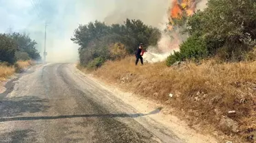 Bodrum'da Alevler Yayılıyor
