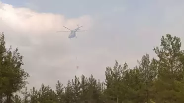 Anız Yakımı Ormana Sıçradı