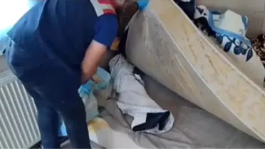 Isparta'da Tefecilik Operasyonu