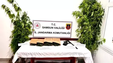 Samsun'da Uyuşturucu Operasyonu