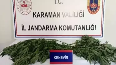Karaman’da Narkotik ve Tarihi Eşya Operasyonu