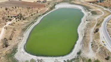 Kızılca Göleti'nde Balık Ölümleri