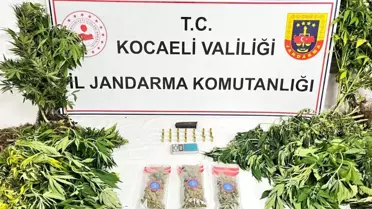 Kocaeli'de Uyuşturucu Operasyonu