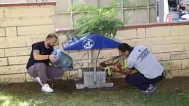 Küçükçekmece'den Sokak Hayvanlarına Destek