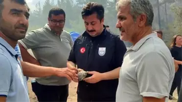 Yenişehir'de Orman Yangını Kontrol Altında, Başkan Özel'den Kaplumbağaya Şefkat