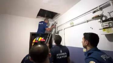Firar Eden Hükümlü Çatıdan Yakalandı