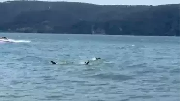 Beykoz'da tekne alabora oldu: 3 kişi kurtarıldı, 1 kişi hayatını kaybetti