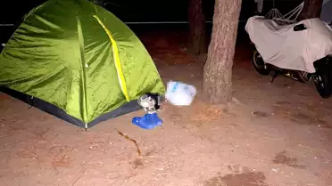 Sinem'in katili cinayeti planlamış! Yaptığı yorum kan dondurdu