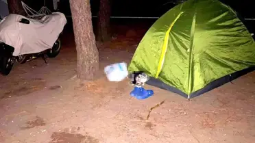 Boşanma Aşaması Cinayet: Şüpheli Sinop'ta Yakalandı