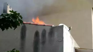 Çanakkale'de Çatı Yangını: Kedi Kurtarıldı