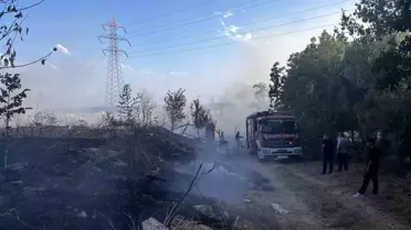 Esenyurt'ta Otluk Alanda Yangın
