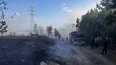 Esenyurt'ta otluk alanda yangın çıktı