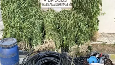 Aydın'da Uyuşturucu Operasyonu: 17 Gözaltı