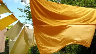 Yataklarda Tehlikeli Bakteri ve Mantarlar
