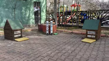 Başkan Tahmazoğlu'ndan Sokak Hayvanlarına Su Çağrısı