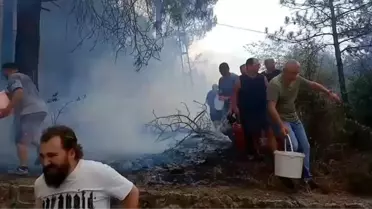 Kocaeli'de Mahalleli Yangına Müdahale Etti