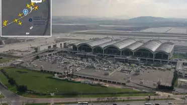 Pistteki ölü tavşan Sabiha Gökçen Havalimanı'nı karıştırdı