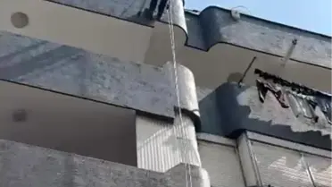 Adana'da Güvercin Kurtarıldı