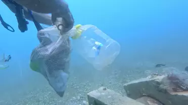 Deniz Dibi Temizliğinde Dikkat Çeken Atıklar