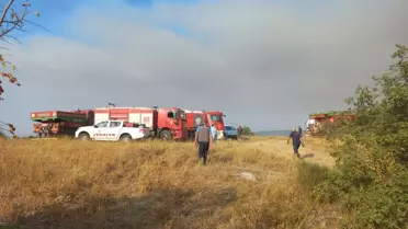 Bigadiç'te Tarım Arazisinde Yangın