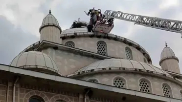 Bursa'da Mahsur Kalan Leylek Kurtarıldı